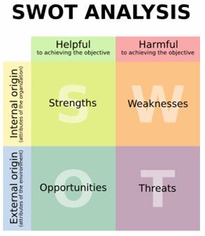 090525_SWOT1 090525_SWOT1